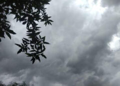 Cómo estará el clima en el AMBA este viernes 16 de octubre