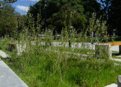 Lunes fresco en el AMBA: la semana arranca estable y sin lluvia