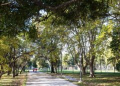 Cómo estará el clima en el AMBA este sábado 17 de octubre