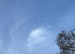 Cómo estará el ÁMBA este martes 20 de octubre