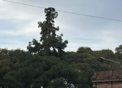 Cómo estará el clima en el AMBA este jueves 29 de octubre