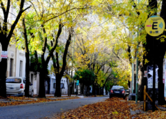 Adiós al «veranito»: El AMBA se prepara para un fin de semana inestable y el ingreso de aire polar