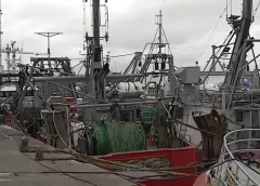 Tensión en el Puerto de Mar del Plata: Gremio convoca a asamblea y el sector empresario denuncia pérdidas millonarias