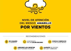 La Plata: Establecen el nivel de alerta ‘amarillo’ por vientos para el domingo