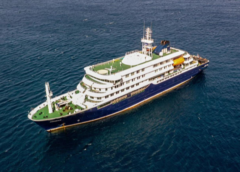 Alerta sanitaria en el Atlántico: Investigan origen de un brote mortal de hantavirus en un crucero que partió de Argentina