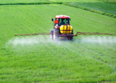 Chascomús: La Suprema Corte ratificó la prohibición de agrotóxicos en zonas residenciales