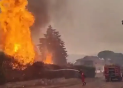 España arde: el Gobierno declara la emergencia nacional ante incendios fuera de control en Madrid y Ávila