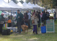 La República de los Niños será sede de una nueva Feria Agroecológica Municipal Itinerante