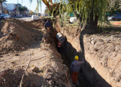 La Plata: Avanzan trabajos hidráulicos en la obra de ensanche y pavimentación de avenida 60