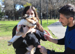 El Municipio de La Plata realiza jornadas gratuitas de vacunación y castración en distintos barrios