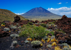 Malargüe indómito: volcanes, astros y el encanto secreto del sur mendocino