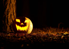 De la hoguera celta al fenómeno global: el verdadero origen de Halloween y cómo se festeja hoy en el mundo