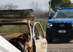 La Municipalidad de La Plata retiró nuevos autos abandonados de la vía pública en Tolosa, Villa Elvira y el casco urbano